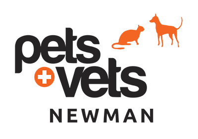 Newman Vet Hospital